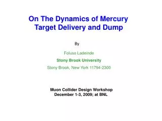 On The Dynamics of Mercury Target Delivery and Dump