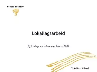 lokallagsarbeid