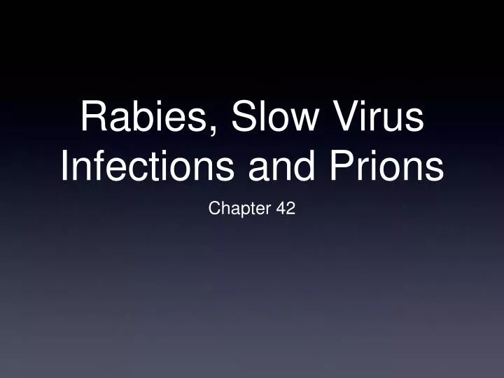 rabies slow virus infections and prions