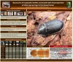 What are Saproxylic Beetles? - slide 1