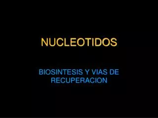 nucleotidos