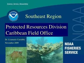 Protected Resources Division Caribbean Field Office