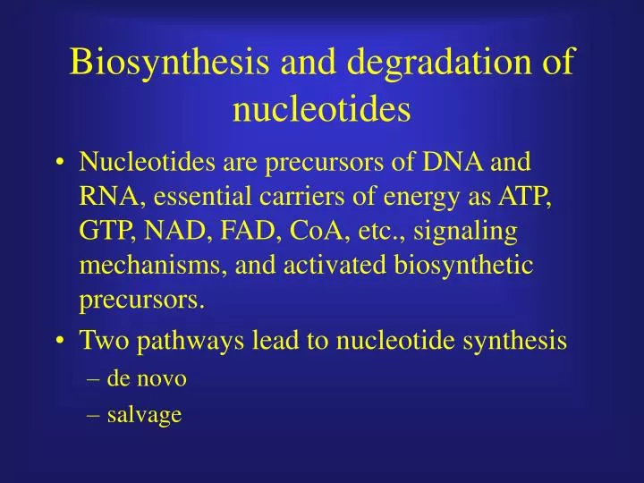 biosynthesis and degradation of nucleotides