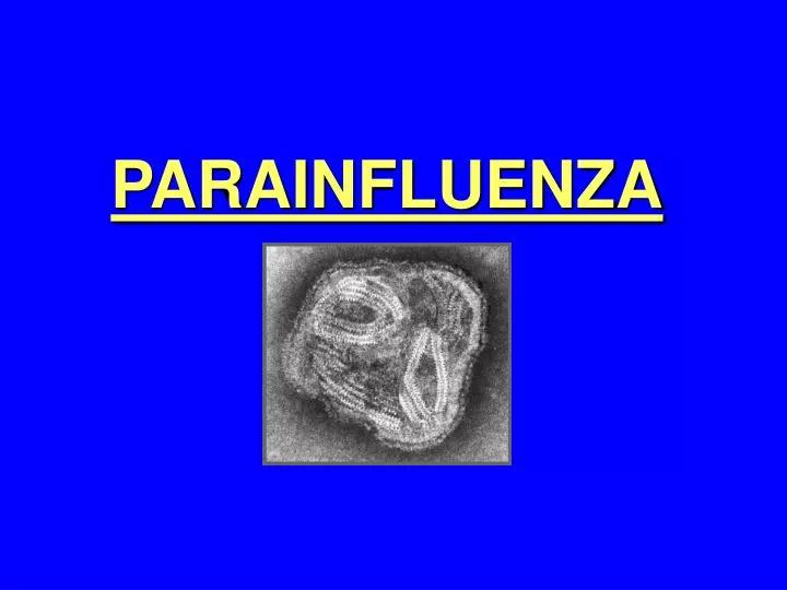 parainfluenza