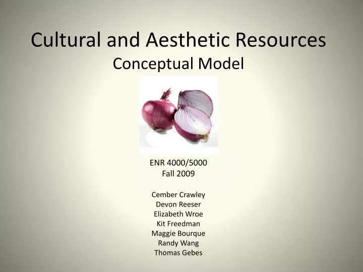 cultural and aesthetic resources conceptual model
