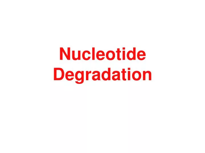 nucleotide degradation