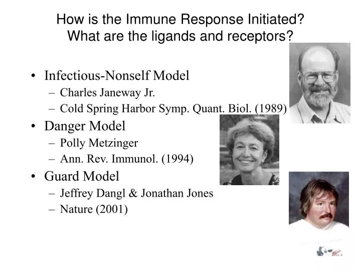 how is the immune response initiated what are the ligands and receptors