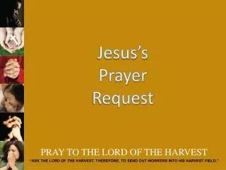 PRAY TO THE LORD OF THE HARVEST