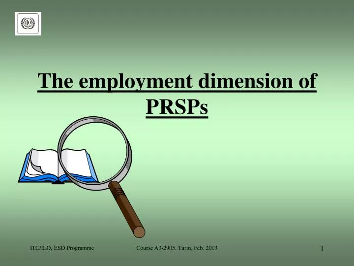 the employment dimension of prsps