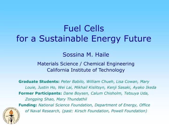 fuel cells for a sustainable energy future