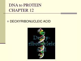 DNA to PROTEIN CHAPTER 12