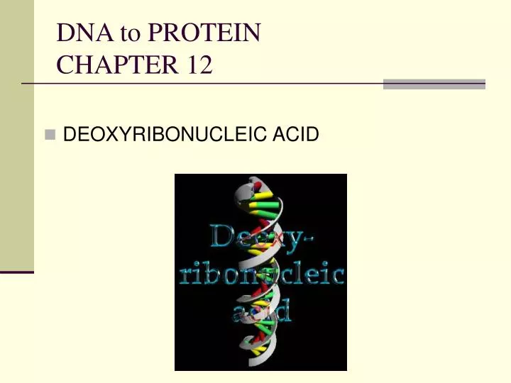 dna to protein chapter 12