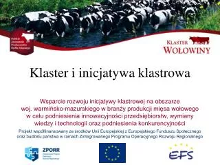 klaster i inicjatywa klastrowa