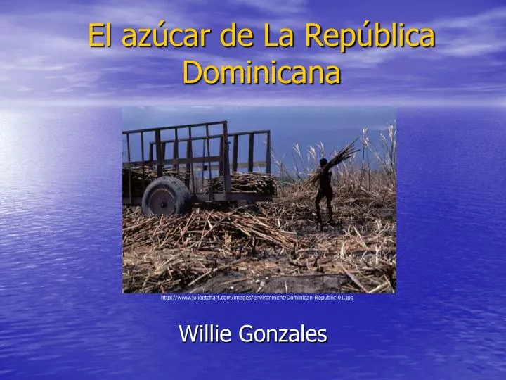 el az car de la rep blica dominicana