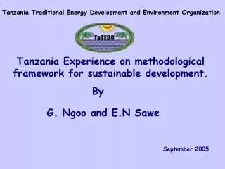 Tanzania Traditional Energy Development and Environment Organization