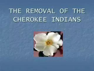 THE REMOVAL OF THE CHEROKEE INDIANS