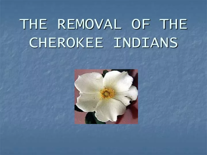 the removal of the cherokee indians