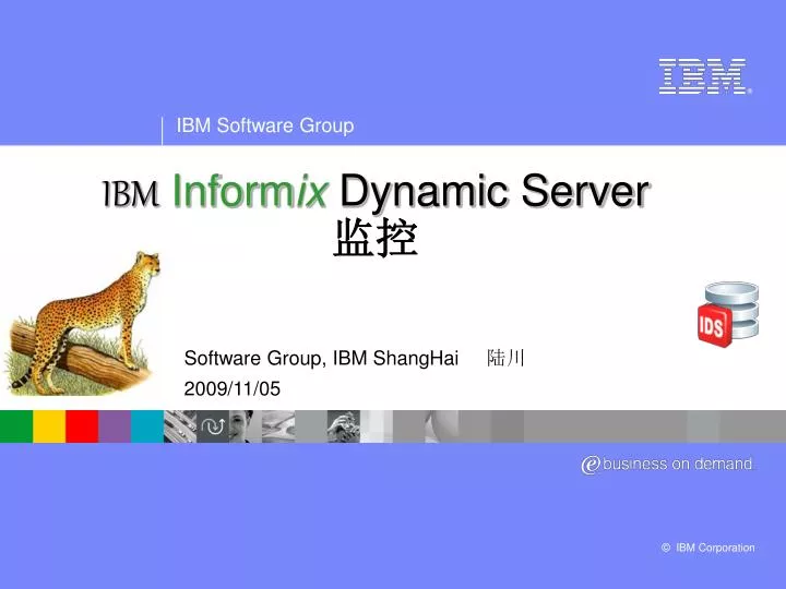 ibm inform ix dynamic server