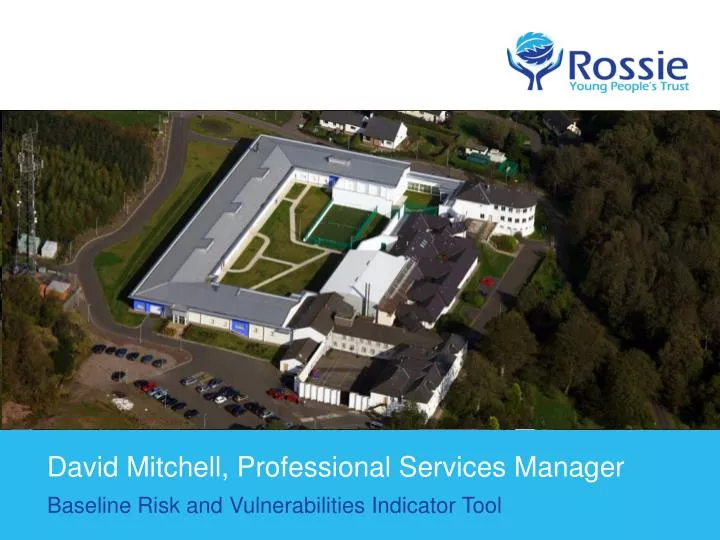 david mitchell professional services manager