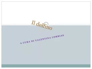 il delfino