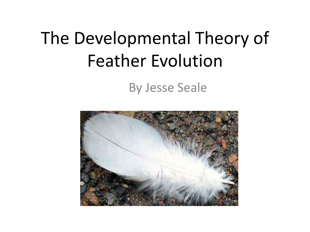 PPT - The Developmental Theory of Feather Evolution PowerPoint ...
