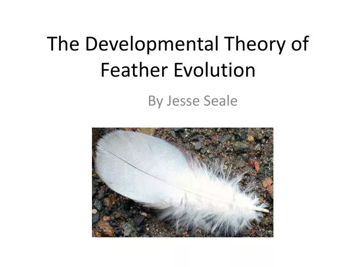the developmental theory of feather evolution
