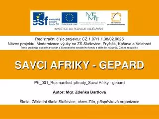 savci afriky gepard