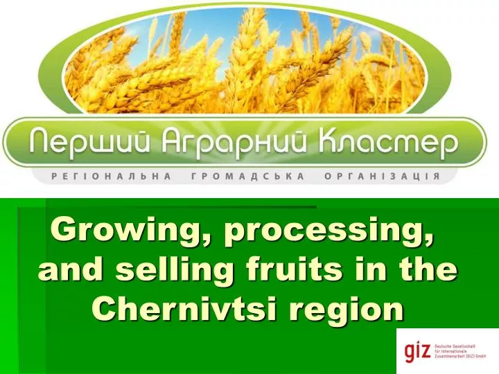 growing processing and selling fruits in the chernivtsi region