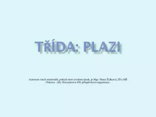 t da plazi