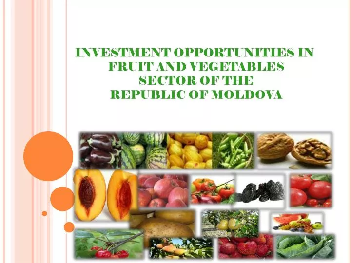 investment opportunities in fruit and vegetables sector of the republic of moldova
