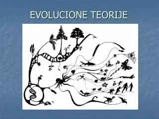 evolucione teorije