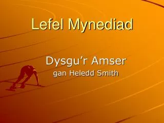 lefel mynediad