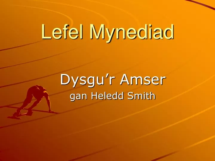 lefel mynediad