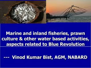 What is Fisheries, Basic statistics, Blue revolution?