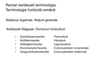 rom n kert szeti terminol gia