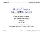 Flexible Coding for 802.11n MIMO Systems - slide 1