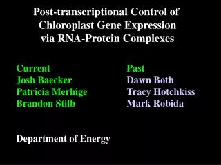 Post-transcriptional Control of Chloroplast Gene Expression via RNA-Protein Complexes