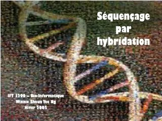 s quen age par hybridation