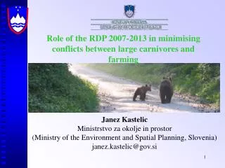 Role of the RDP 2007-2013 in minim i sing conflicts between large carnivores and farming