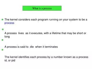 The kernel considers each program running on your system to be a process