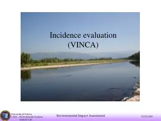 Incidence evaluation (VINCA)
