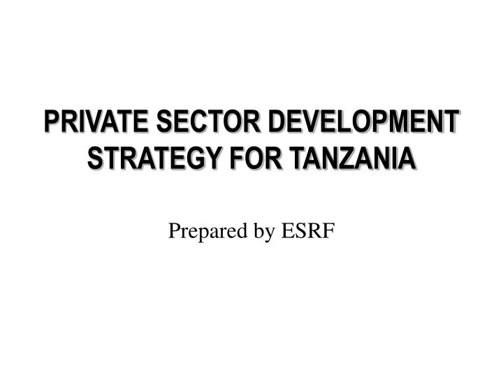 private sector development strategy for tanzania