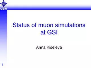 Status of muon simulations at GSI