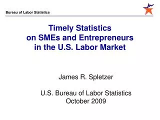 Timely Statistics on SMEs and Entrepreneurs in the U.S. Labor Market