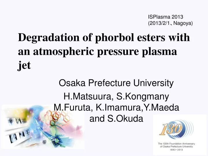 degradation of phorbol esters with an atmospheric pressure plasma jet