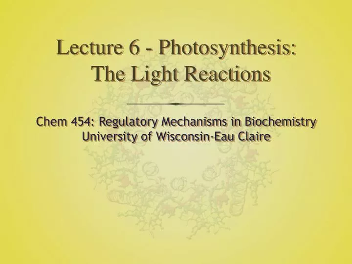 lecture 6 photosynthesis the light reactions