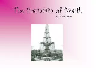 The Fountain of Youth by Courtney Meyer