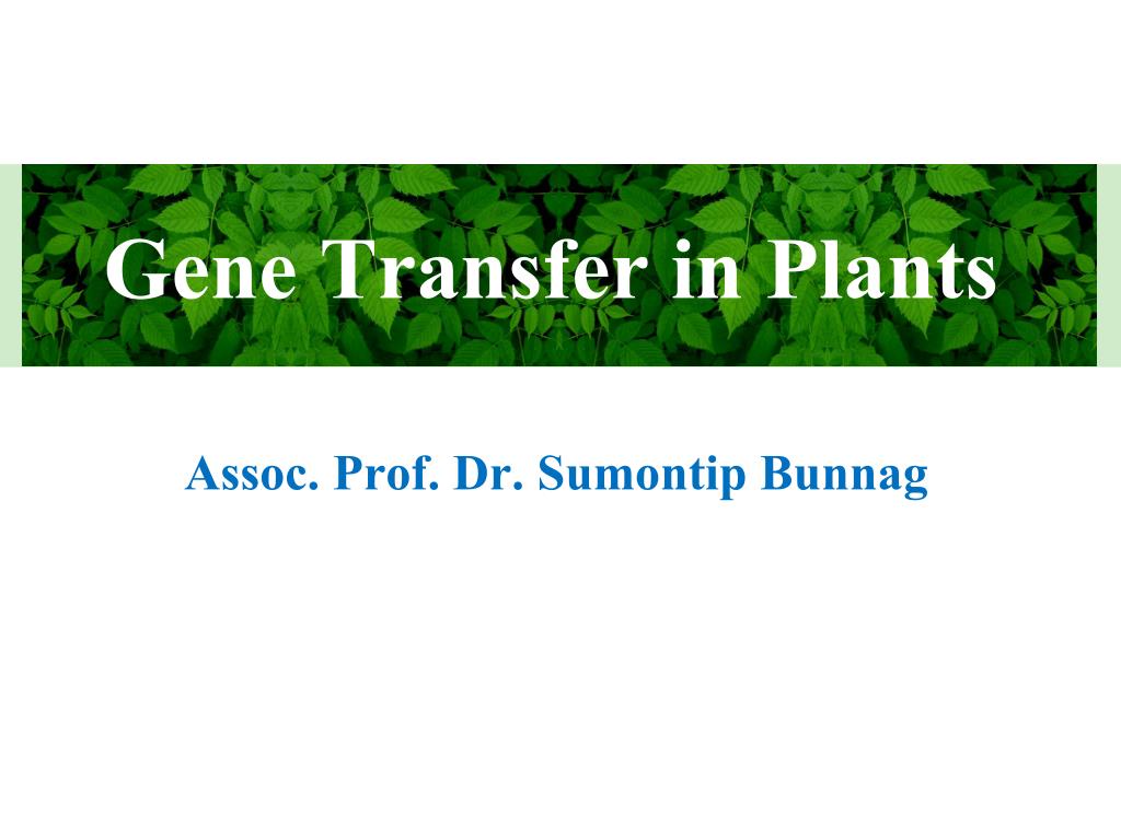 PPT - Gene Transfer in Plants PowerPoint Presentation, free download ...
