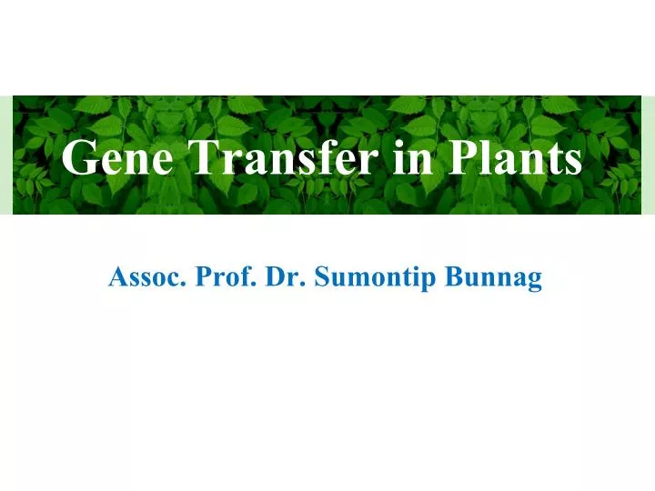 gene transfer in plants