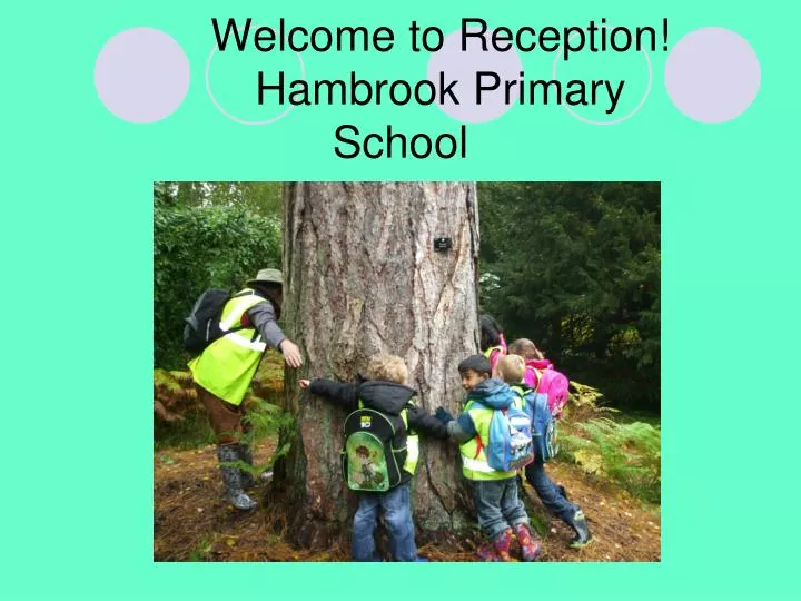 welcome to reception hambrook primary school